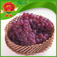 Chinese Yunnan Red globe grape red grapes